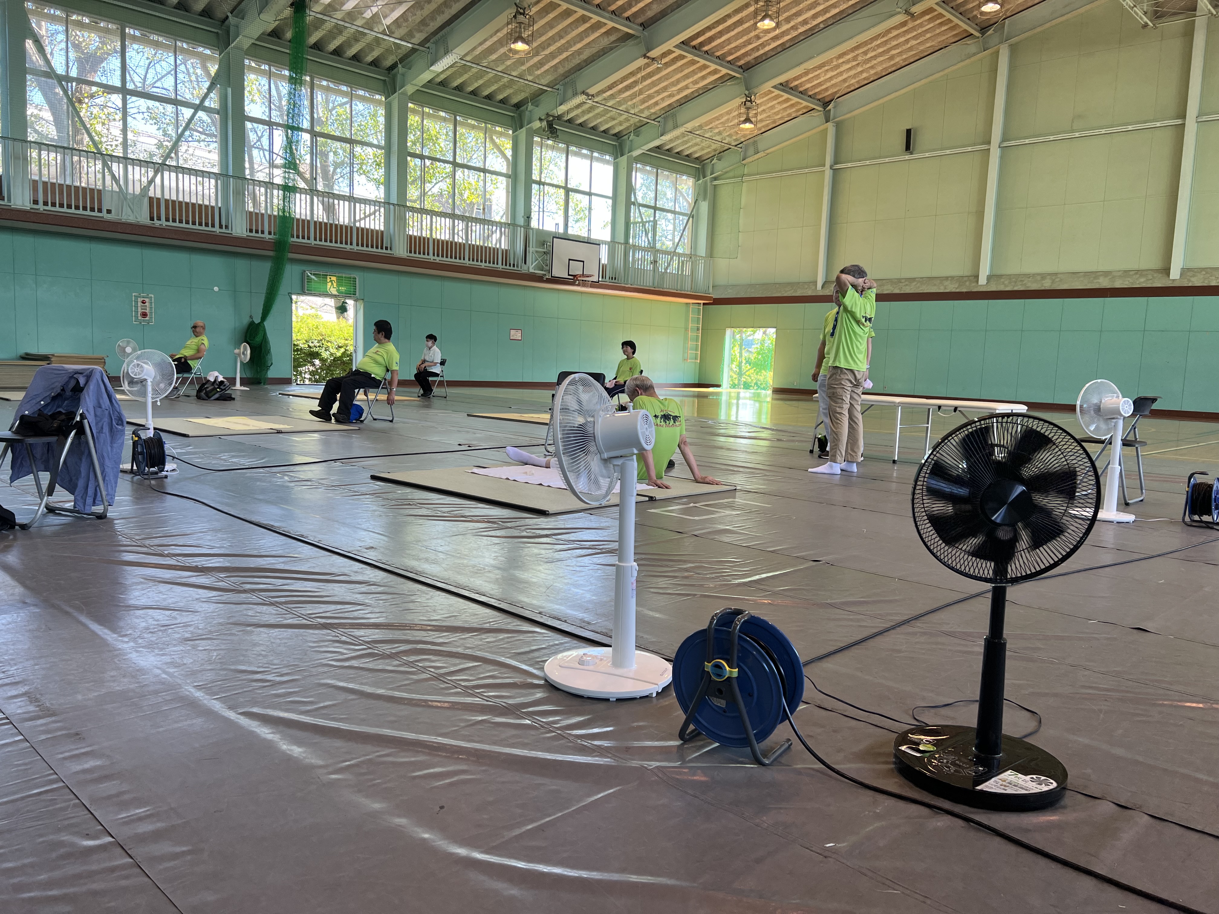 �����������