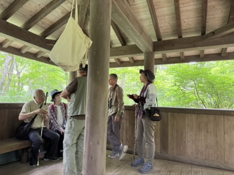 �R�[�X�̓r���̋x�e���A�������ɂ͗΂�